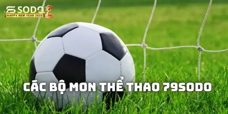 Các bộ môn để bạn lựa chọn cá cược tại thể thao 79sodo